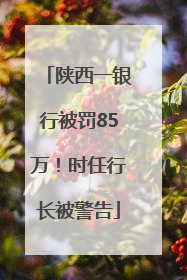 陕西一银行被罚85万！时任行长被警告