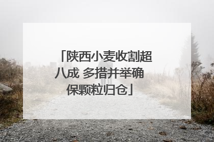 陕西小麦收割超八成 多措并举确保颗粒归仓