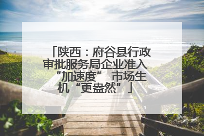 陕西：府谷县行政审批服务局企业准入“加速度” 市场生机“更盎然”