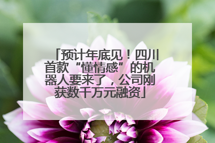 预计年底见！四川首款“懂情感”的机器人要来了，公司刚获数千万元融资