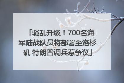 骚乱升级！700名海军陆战队员将部署至洛杉矶 特朗普调兵惹争议