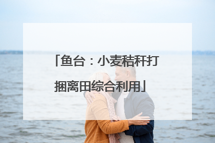 鱼台：小麦秸秆打捆离田综合利用