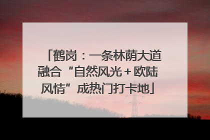 鹤岗：一条林荫大道融合“自然风光＋欧陆风情”成热门打卡地