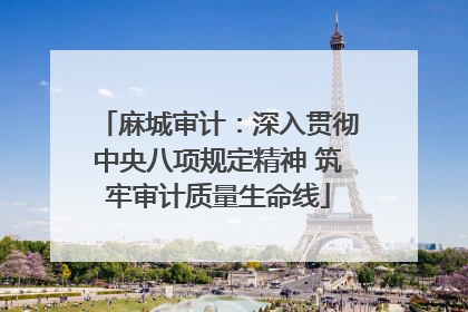 麻城审计：深入贯彻中央八项规定精神 筑牢审计质量生命线