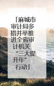 麻城市审计局多措并举推进全省审计机关 “三大提升年” 行动