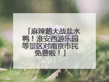 麻辣鹅大战盐水鸭！淮安西游乐园等景区对南京市民免费啦！