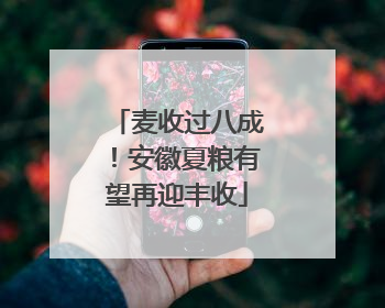 麦收过八成！安徽夏粮有望再迎丰收