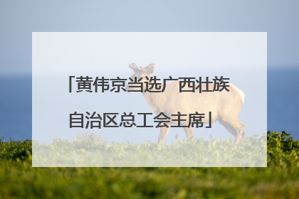 黄伟京当选广西壮族自治区总工会主席