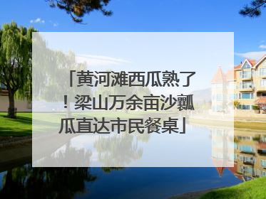 黄河滩西瓜熟了！梁山万余亩沙瓤瓜直达市民餐桌