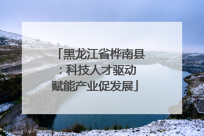 黑龙江省桦南县：科技人才驱动 赋能产业促发展