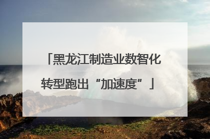 黑龙江制造业数智化转型跑出“加速度”