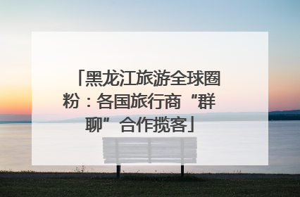 黑龙江旅游全球圈粉：各国旅行商“群聊”合作揽客