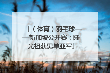 （体育）羽毛球——新加坡公开赛：陆光祖获男单亚军