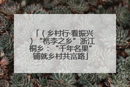 （乡村行·看振兴）“槜李之乡”浙江桐乡：“千年名果”铺就乡村共富路