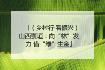 （乡村行·看振兴）山西襄垣：向“林”发力 借“绿”生金