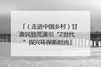 （走进中国乡村）甘肃民勤荒漠引“Z世代”探兴环保新时尚