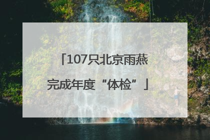 107只北京雨燕完成年度“体检”