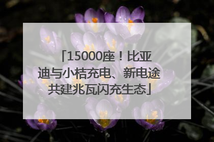 15000座！比亚迪与小桔充电、新电途共建兆瓦闪充生态