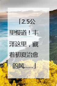 2.5公里慢道！丰泽这里，藏着初夏治愈的风……