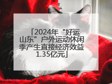 2024年“好运山东”户外运动休闲季产生直接经济效益1.35亿元