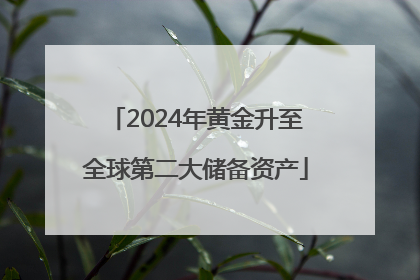 2024年黄金升至全球第二大储备资产