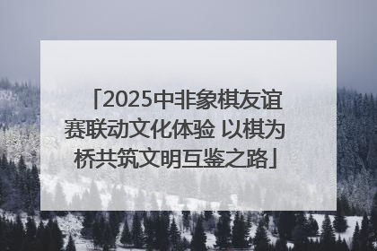 2025中非象棋友谊赛联动文化体验 以棋为桥共筑文明互鉴之路