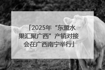 2025年“东盟水果汇聚广西”产销对接会在广西南宁举行