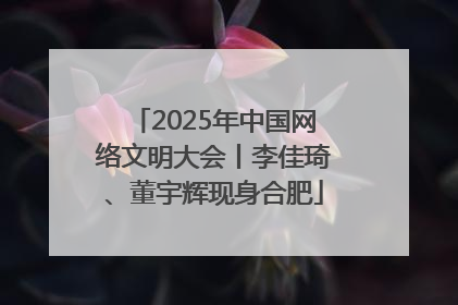 2025年中国网络文明大会丨李佳琦、董宇辉现身合肥