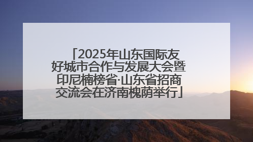 2025年山东国际友好城市合作与发展大会暨印尼楠榜省·山东省招商交流会在济南槐荫举行