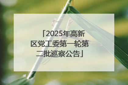 2025年高新区党工委第一轮第二批巡察公告