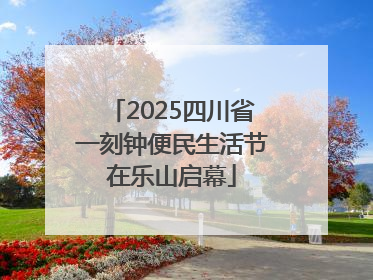 2025四川省一刻钟便民生活节在乐山启幕
