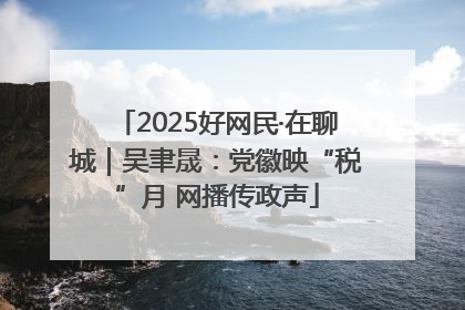 2025好网民·在聊城｜吴聿晟：党徽映“税”月 网播传政声