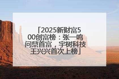 2025新财富500创富榜：张一鸣问鼎首富，宇树科技王兴兴首次上榜