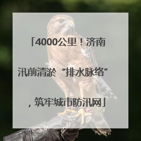 4000公里！济南汛前清淤“排水脉络”，筑牢城市防汛网