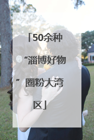50余种“淄博好物”圈粉大湾区