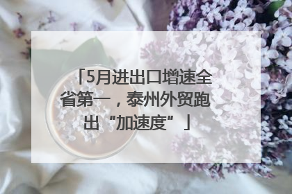 5月进出口增速全省第一，泰州外贸跑出“加速度”