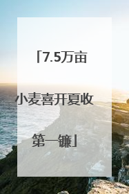 7.5万亩小麦喜开夏收第一镰