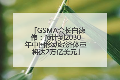 GSMA会长白德伟：预计到2030年中国移动经济体量将达2万亿美元