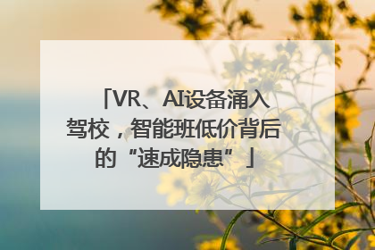 VR、AI设备涌入驾校，智能班低价背后的“速成隐患”
